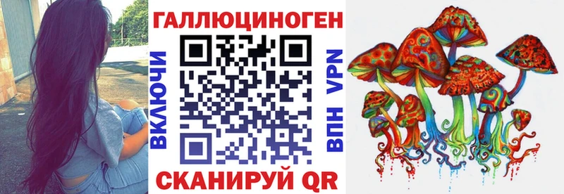 Псилоцибиновые грибы Psilocybe  mega как войти  Чулым 