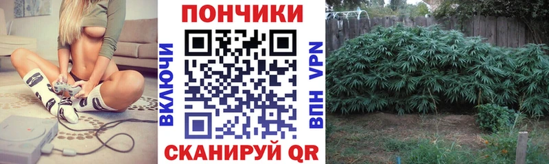 цены   hydra ссылка  Бошки марихуана Ganja  Чулым 